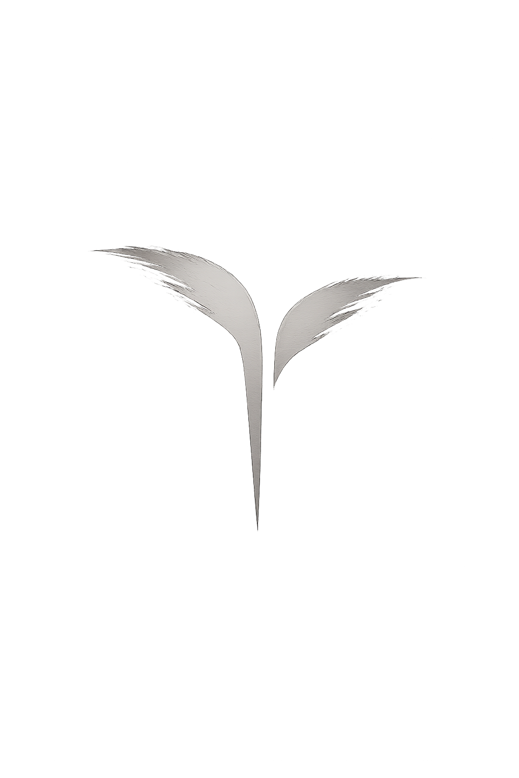 Tungacea